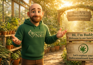 Buddy Explains: What is the Endocannabinoid System?