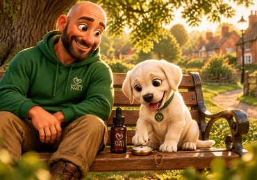 How Long Does CBD Take to Work?