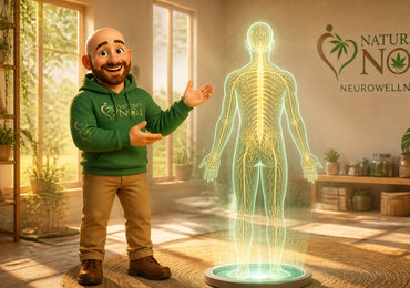 Neurowellness 101: A Beginner’s Guide to Mastering Your Nervous System